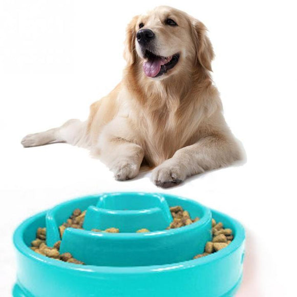 Slow Feeder for Dogs